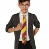 Gryffindor Tie - Harry Potter