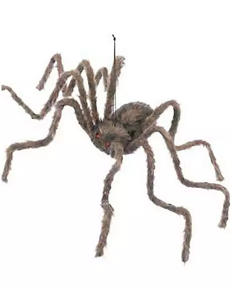 50 Inch Hairy Spider 50 Inch Hairy Spider -Cosplay Shop 00591107 a