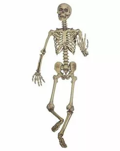 5 Ft Hanging Skeleton Decoration