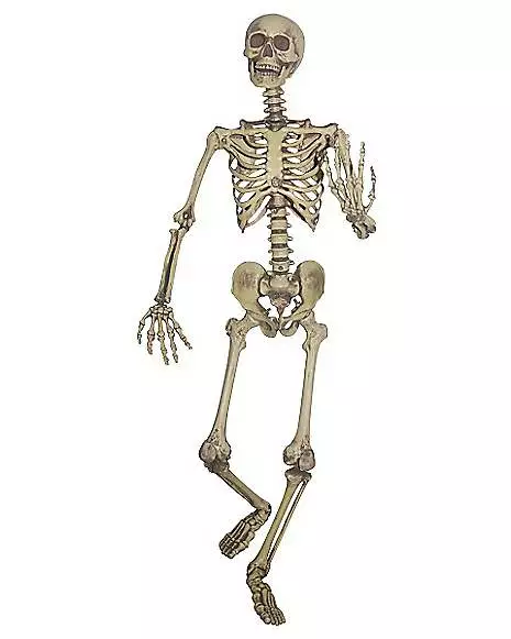 5 ft Hanging Skeleton Decoration 5 Ft Hanging Skeleton Decoration -Cosplay Shop 01103860 a