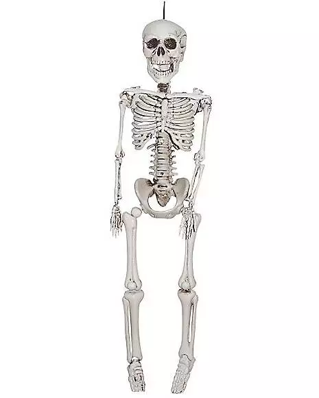 3 Ft Plastic Skeleton 3 Ft Plastic Skeleton -Cosplay Shop 01145713 a