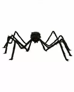 5 Ft Black Spider