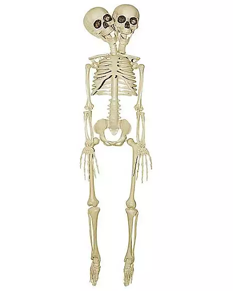 20 Inch Two-Headed Skeleton 20 Inch Two-Headed Skeleton -Cosplay Shop 01344241 a
