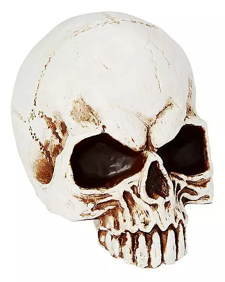 Jawless Skull Jawless Skull -Cosplay Shop 01475961 a