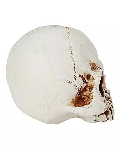 Jawless Skull Jawless Skull -Cosplay Shop 01475961 b
