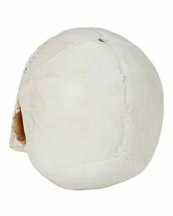 Jawless Skull 2 Jawless Skull -Cosplay Shop 01475961 c