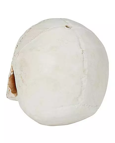 Jawless Skull Jawless Skull -Cosplay Shop 01475961 c