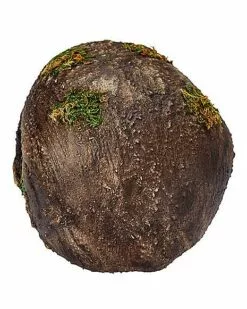 Moss Skull -Cosplay Shop 01477157 c