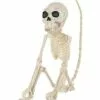 Monkey Skeleton