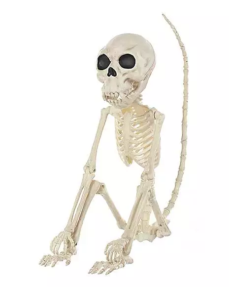 Monkey Skeleton Monkey Skeleton -Cosplay Shop 01477173 a