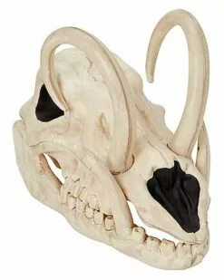 Boar Skull 2 Boar Skull -Cosplay Shop 01528785 a
