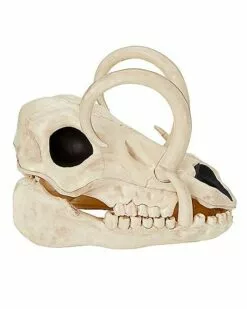 Boar Skull 3 Boar Skull -Cosplay Shop 01528785 b