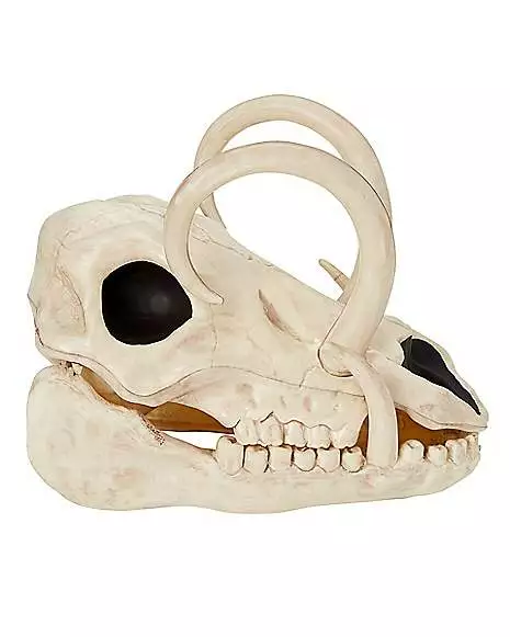 Boar Skull Boar Skull -Cosplay Shop 01528785 b