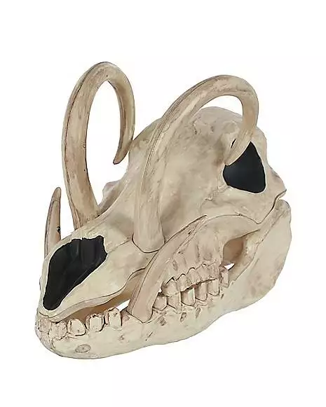 Boar Skull Boar Skull -Cosplay Shop 01528785 a