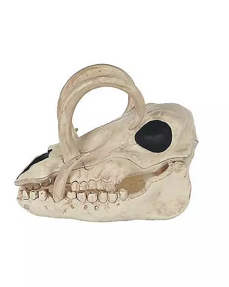 Boar Skull Boar Skull -Cosplay Shop 01528785 b