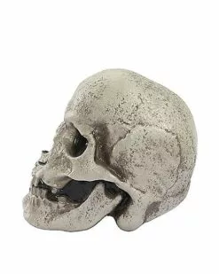 Mutant Skull -Cosplay Shop 01528868 d