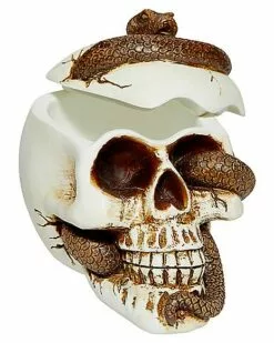 Snake Skull Box -Cosplay Shop 01530286 c