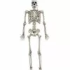 5 Ft. Digieye Hanging Skeleton Decoration