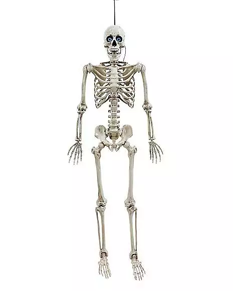 5 Ft. Digieye Hanging Skeleton Decoration 5 Ft. Digieye Hanging Skeleton Decoration -Cosplay Shop 01547751 a