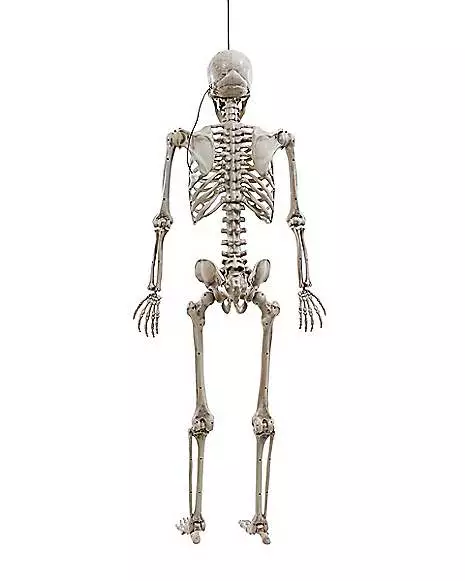 5 Ft. Digieye Hanging Skeleton Decoration 5 Ft. Digieye Hanging Skeleton Decoration -Cosplay Shop 01547751 b