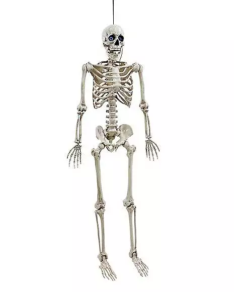 5 Ft. Digieye Hanging Skeleton Decoration 5 Ft. Digieye Hanging Skeleton Decoration -Cosplay Shop 01547751 c