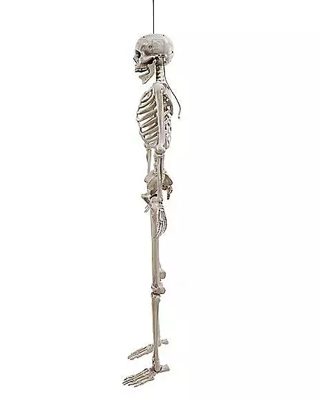 5 Ft. Digieye Hanging Skeleton Decoration 5 Ft. Digieye Hanging Skeleton Decoration -Cosplay Shop 01547751 d