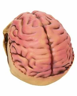 Skull With Brain Decoration -Cosplay Shop 01573070 c