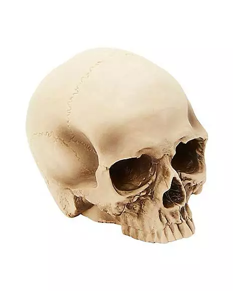 Jawless Skull Set - 3 Pack Jawless Skull Set - 3 Pack -Cosplay Shop 07641780 b