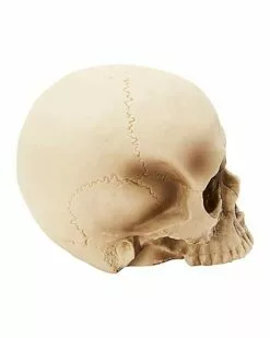 Jawless Skull Set - 3 Pack 2 Jawless Skull Set - 3 Pack -Cosplay Shop 07641780 c