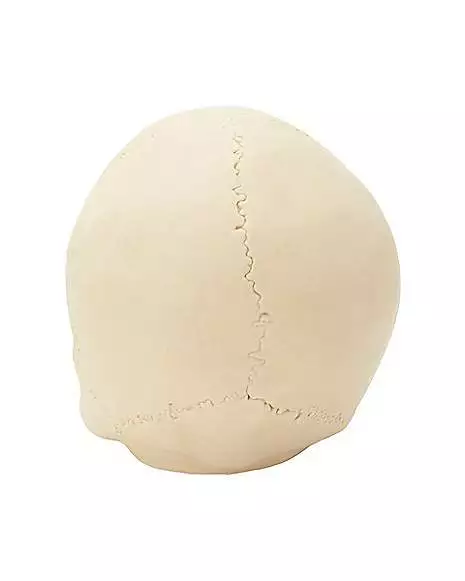 Jawless Skull Set - 3 Pack Jawless Skull Set - 3 Pack -Cosplay Shop 07641780 d